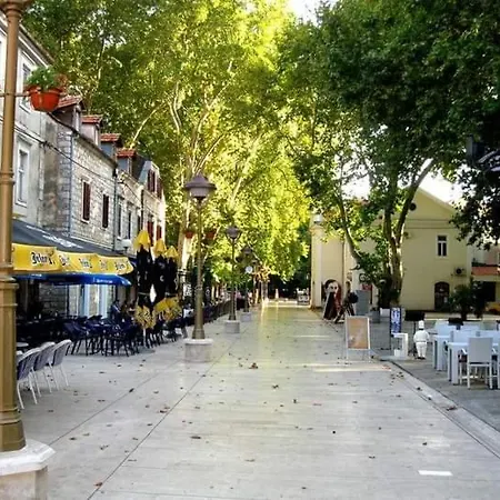Apartman Brankica *